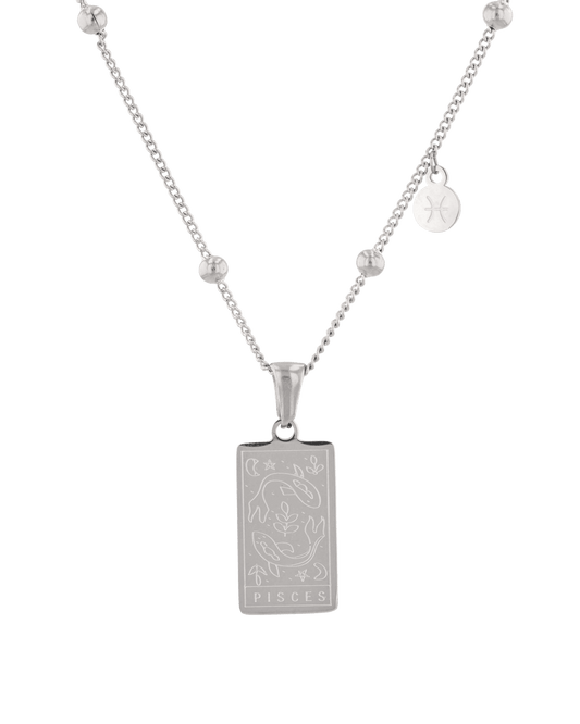 Image of Necklaces. Product name - Pisces Silver Zodiac Tag Necklace in colour by brand - LAVANA