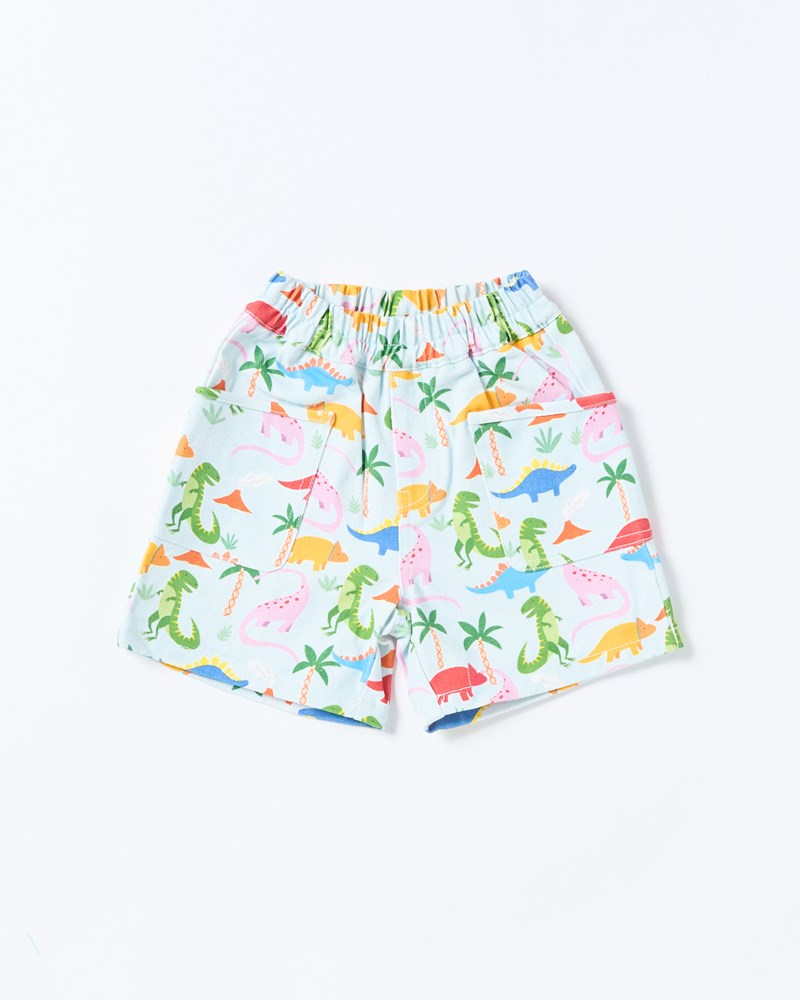 Image of a model wearing Shorts. Productname: Walnut Melbourne Remy Short in Rainbow Dino colour by brand - Walnut Melbourne