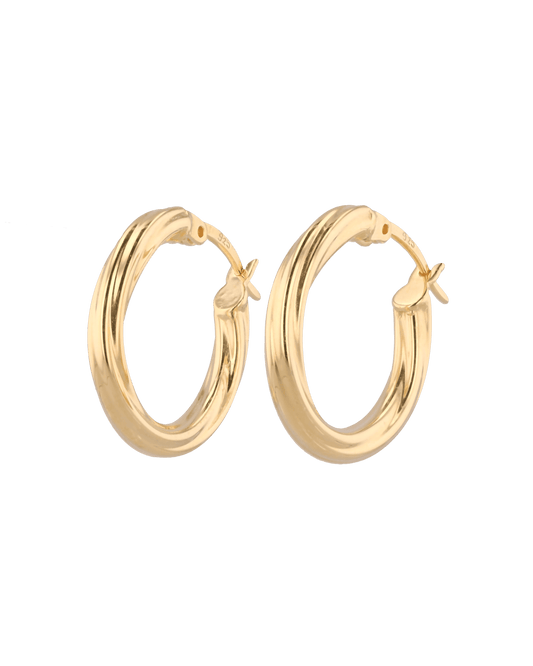 Image of Earrings. Product name - Rhythm Gold Hoop Earrings in colour by brand - LAVANA
