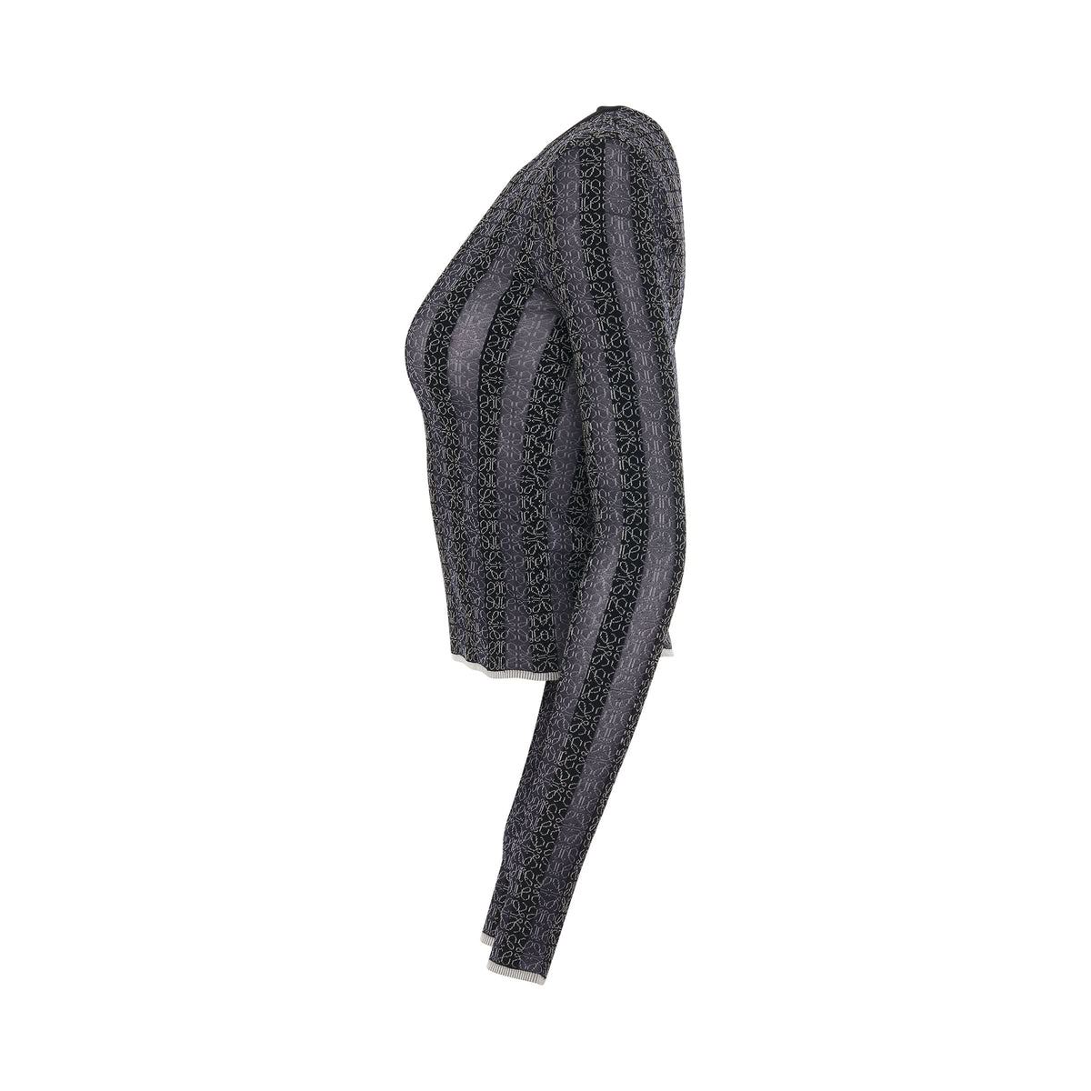LOEWE Anagram Devore Viscose Sweater (Black)