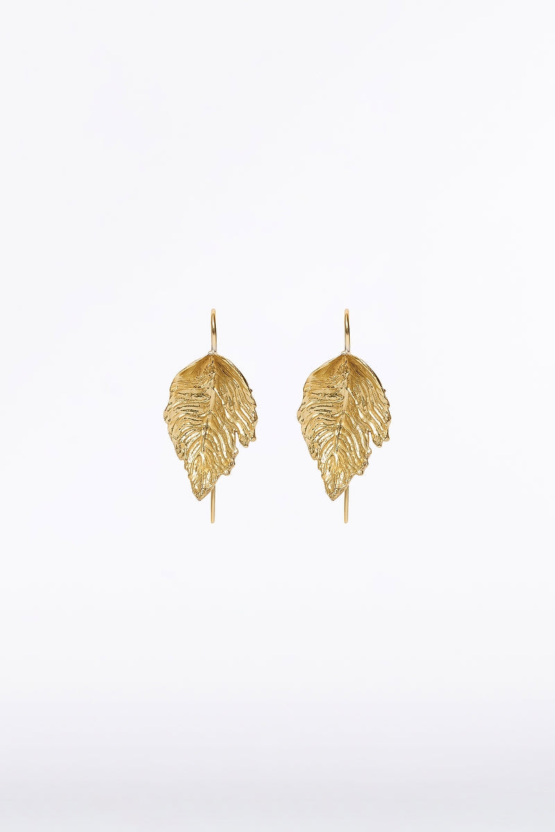 Image of Jewelry. Product name - Gold Leaf Small Earring in Gold colour by brand - Carla Zampatti