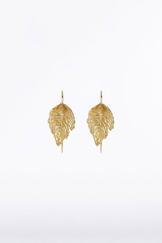 Image of Jewelry. Product name - Gold Leaf Small Earring in Gold colour by brand - Carla Zampatti