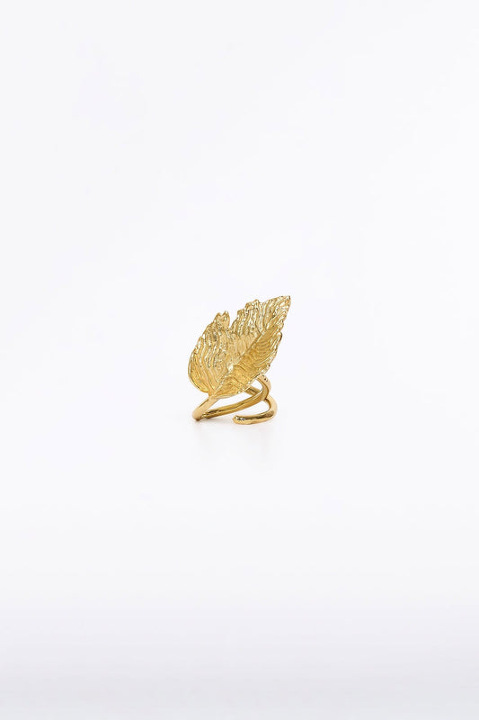 Image of Jewelry. Product name - Gold Leaf Ring in Gold colour by brand - Carla Zampatti