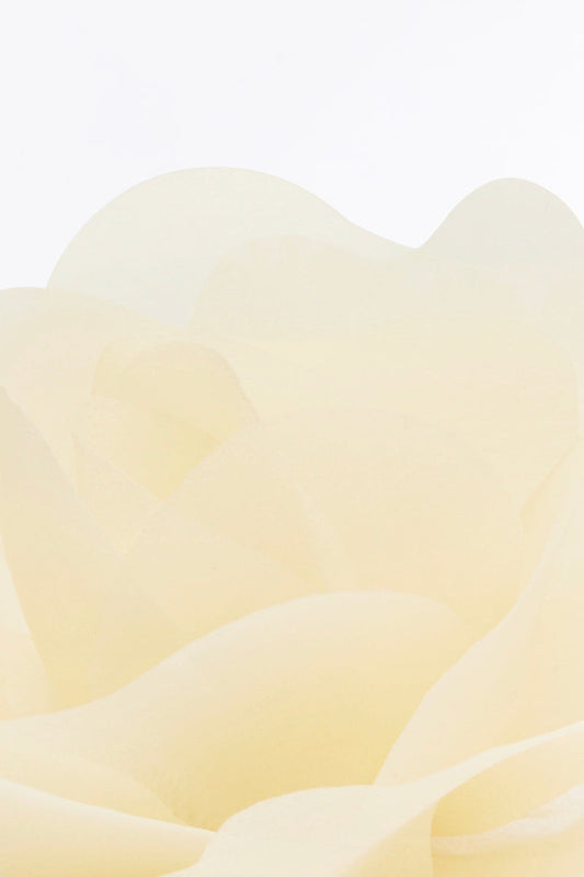 Carla Zampatti Ivory Small Fiore Brooch (Cream)