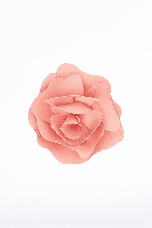 Image of Keychains. Product name - Pale Rose Fiore Brooch in Pink colour by brand - Carla Zampatti