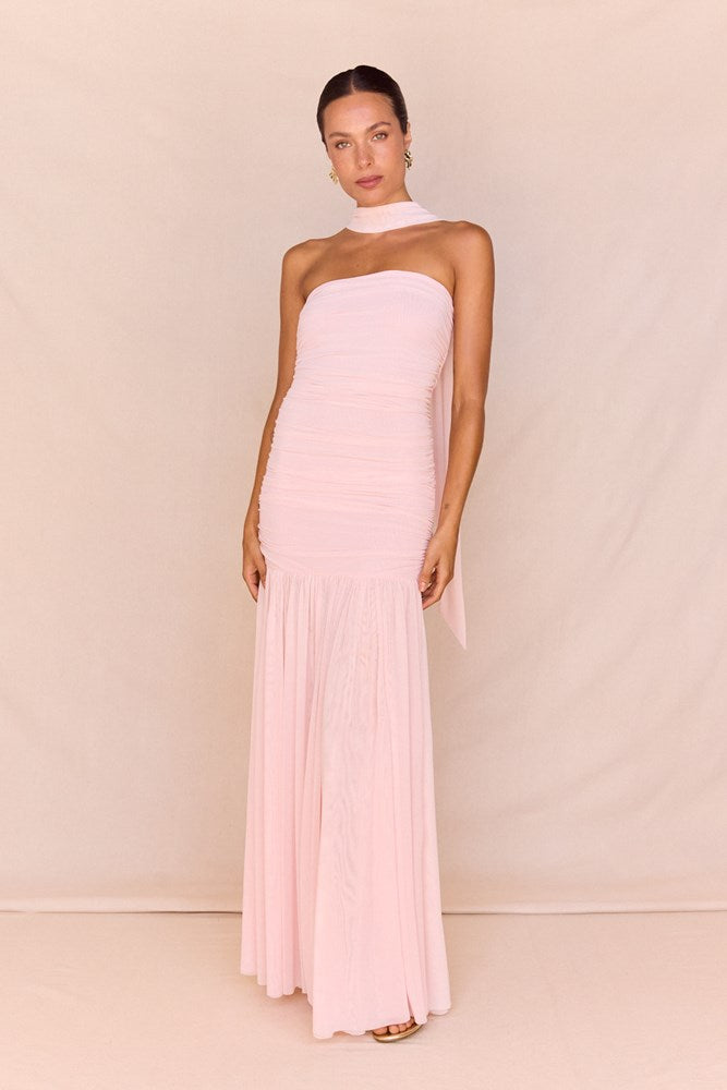 Sass Clothing Hayley Strapless Mesh Dress (Pale Pink)
