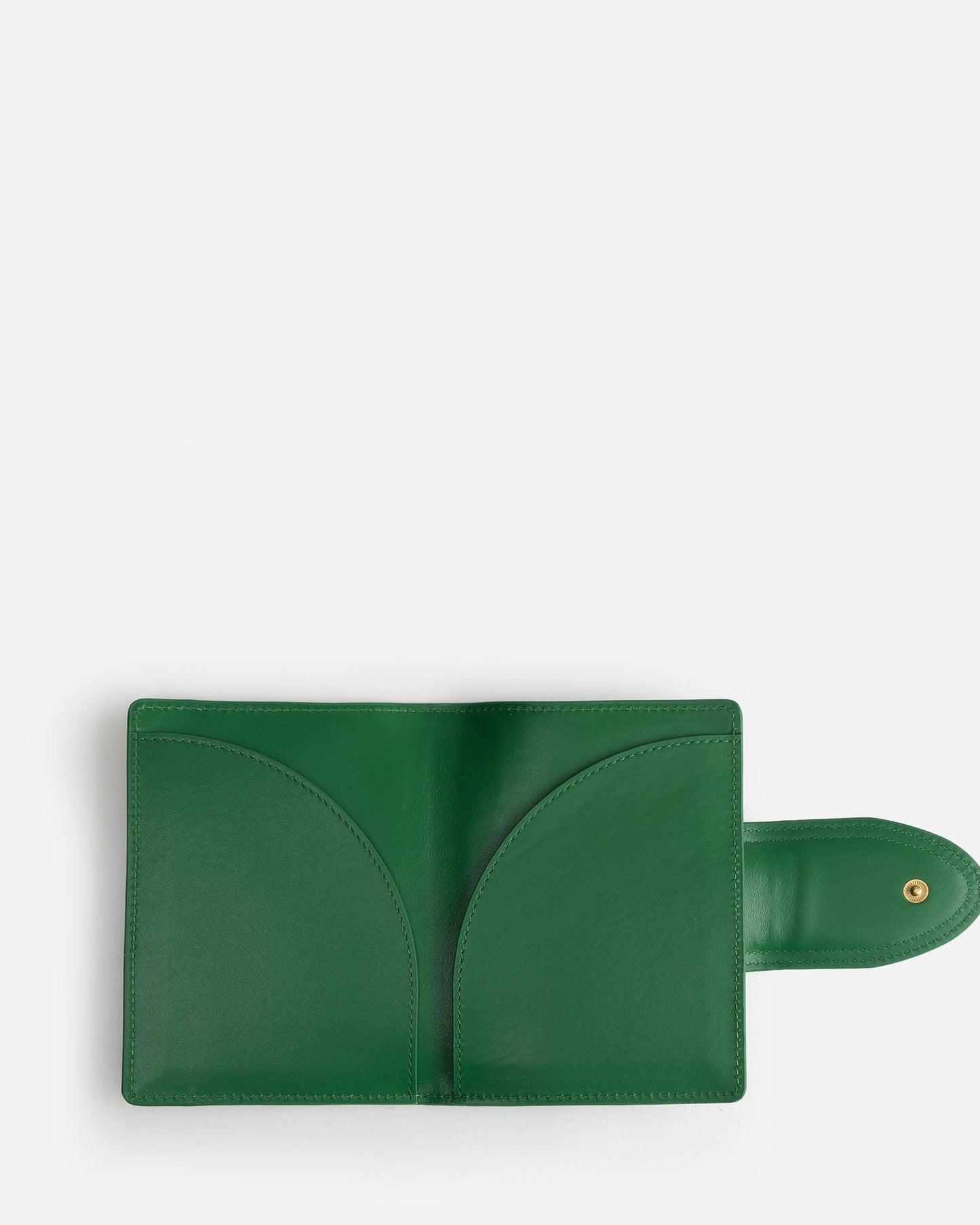 The Daily Edited Zara Passport Holder Bold (Green)