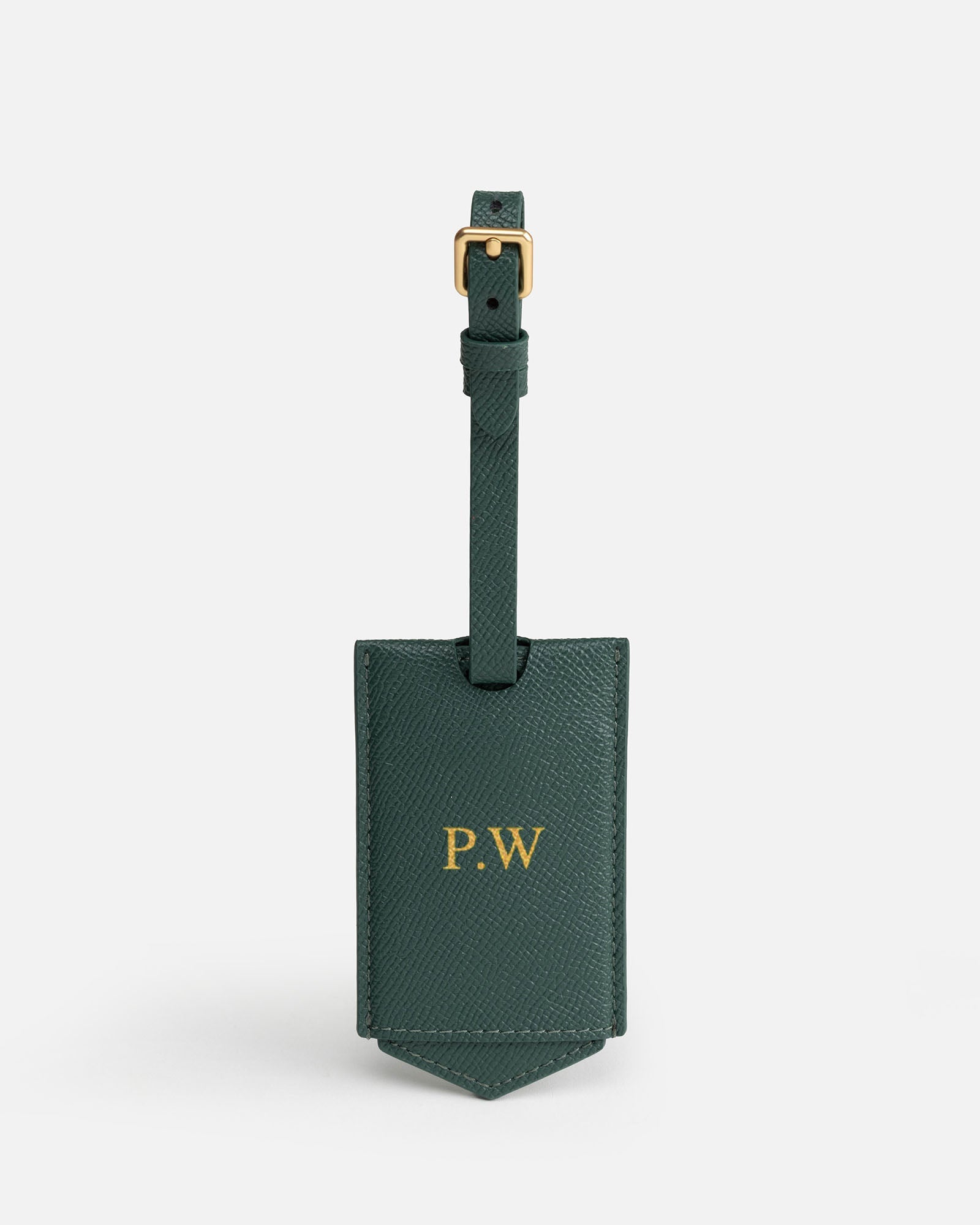 Image of Badge & Pass Holders. Product name - Frankie Luggage Tag Green in Green colour by brand - The Daily Edited