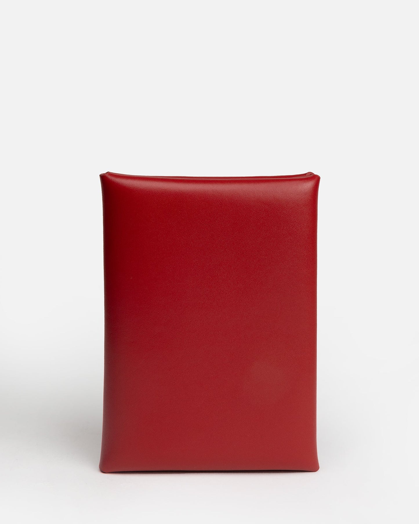 The Daily Edited Remy Passport Sleeve (Red)
