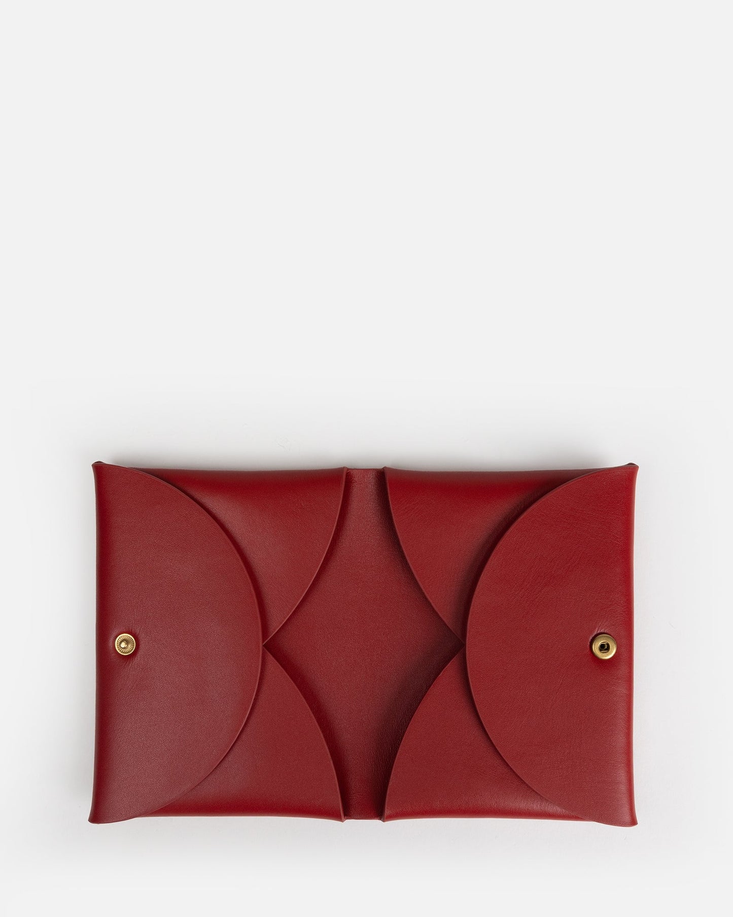 The Daily Edited Remy Passport Sleeve (Red)