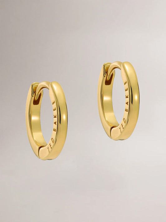 Image of Accessories. Product name - Ted Baker Crislie Earrings in Gold colour by brand - Ted Baker