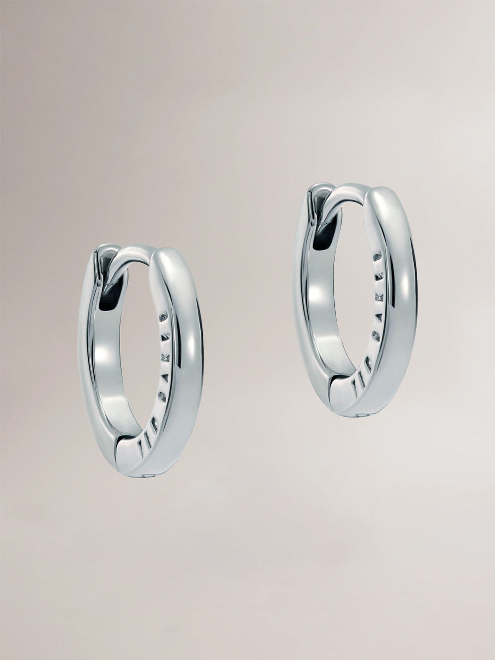 Ted Baker Crislie Earrings (Silver)