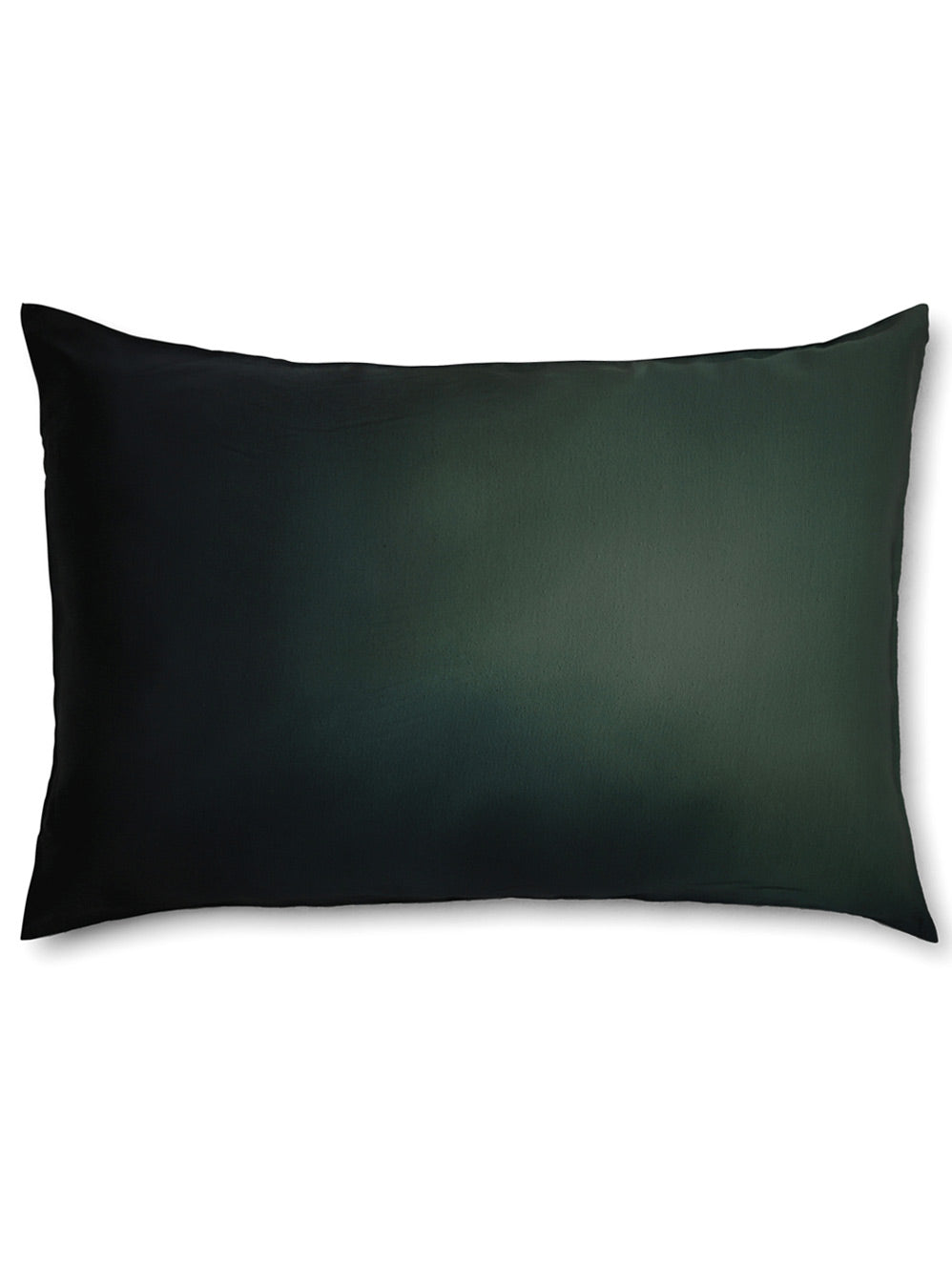 The Artists Label Wash Of Memories Silk Pillow Case (Print)