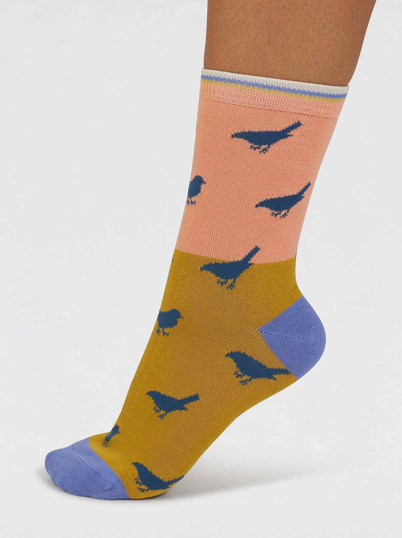 Thought 4 Pack Floral & Birds Box Of Bamboo Socks (Multi)