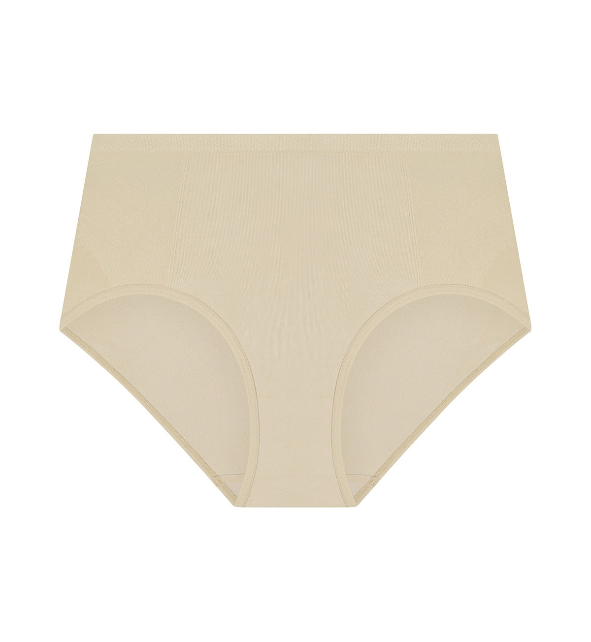 Triumph Shape Sensation Minimiser Brief (Teint)
