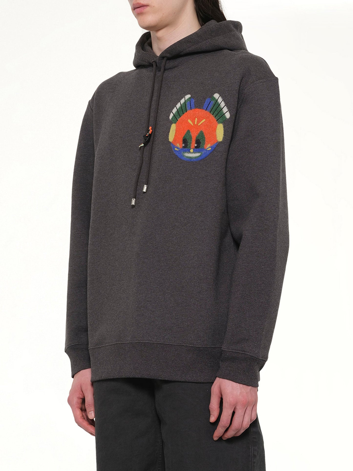 LOEWE Louis Wain Hoodie (Grey)