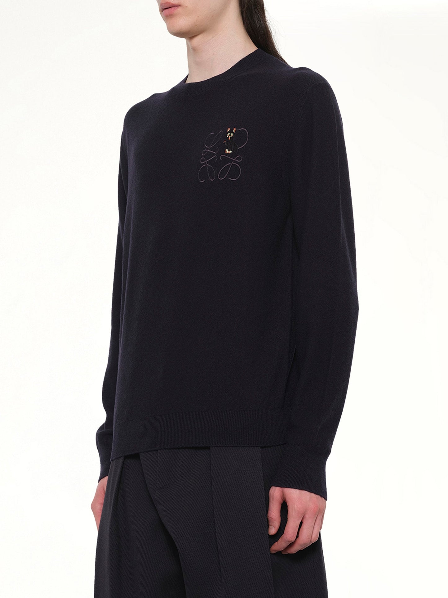 LOEWE Louis Wain Knit Sweater (Navy)