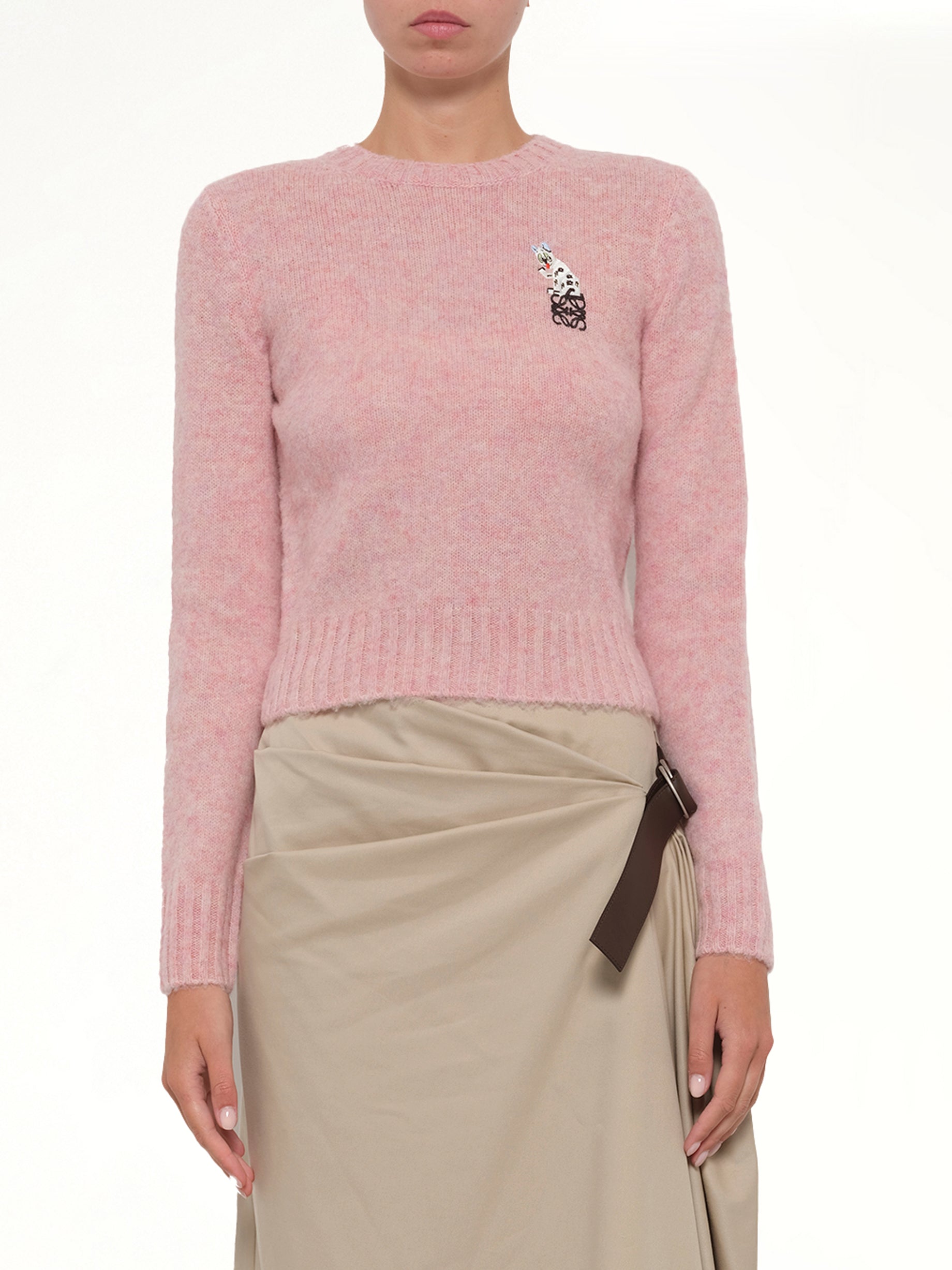 Image of a model wearing Outerwear. Product name - Louis Wain Sweater in Pink colour by brand - LOEWE