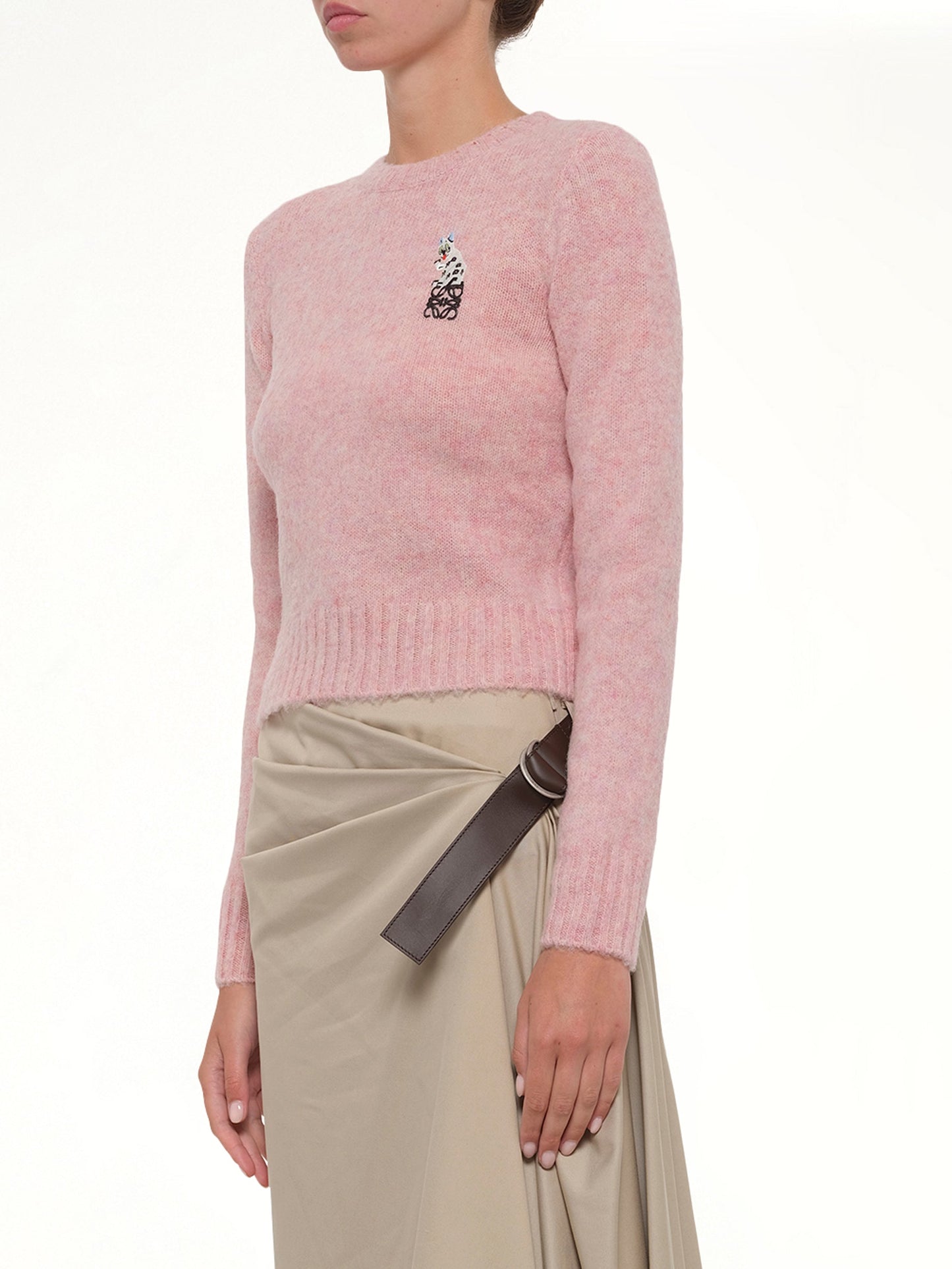LOEWE Louis Wain Sweater (Pink)