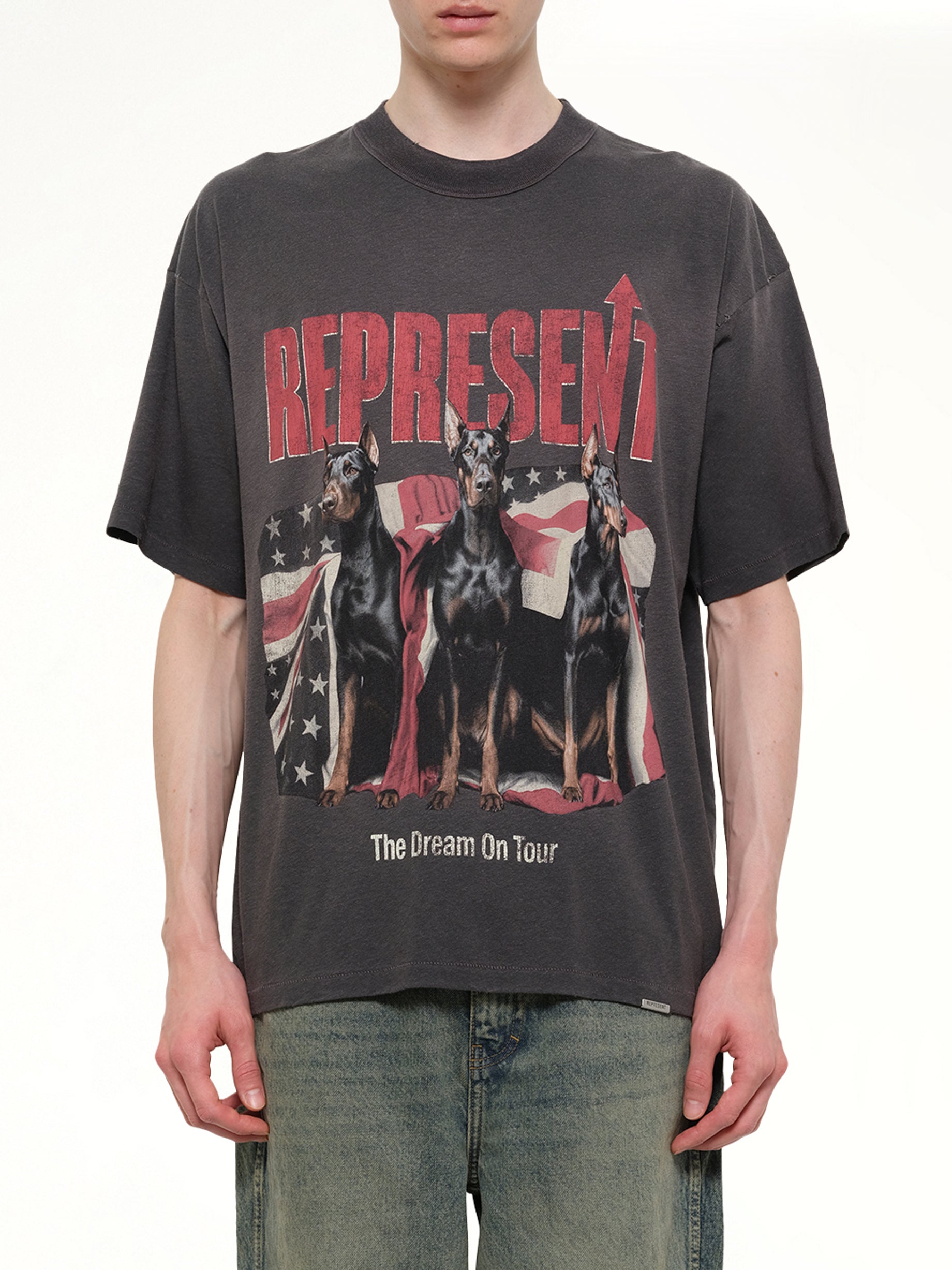 Image of T-Shirts. Product name - Dream On Tour T-Shirt in Grey colour by brand - REPRESENT