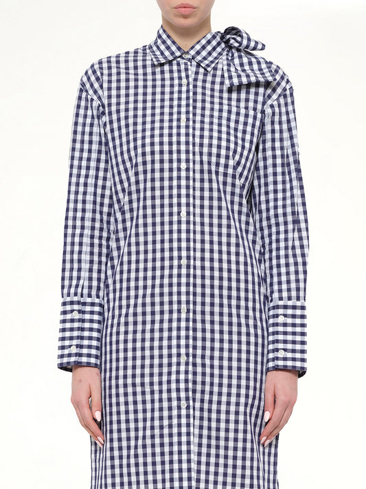 Image of Dresses. Product name - Gingham Shirt Dress in Blue colour by brand - JWA