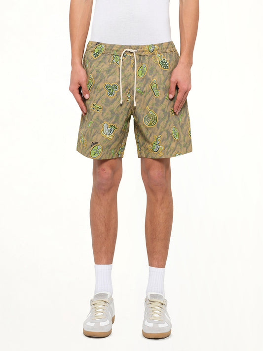 Image of a model wearing Shorts. Product name - Loewe x Paula Printed Swim Shorts in Green colour by brand - LOEWE