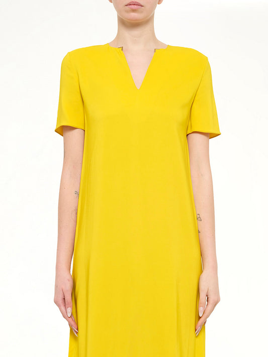 Image of Dresses. Product name - Long Dress in Sun colour by brand - LANVIN
