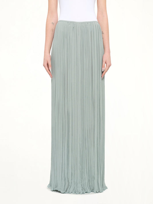Image of a model wearing Skirts. Product name - Long Skirt in Blue colour by brand - LANVIN