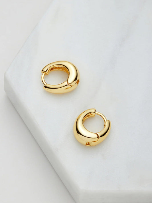 Image of Jewelry. Product name - Zafino Steph Hoop Medium in Gold colour by brand - Zafino