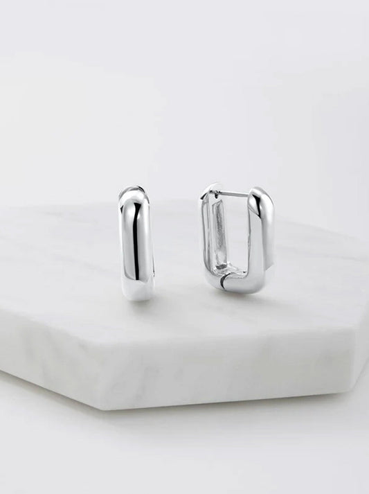 Image of Accessories. Productname: ZAFINO EDEN HOOP in Silver colour by brand - Zafino