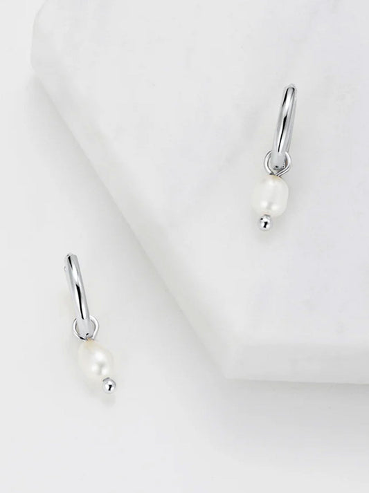 Image of Accessories. Productname: Zafino Heidi Hoop Silver in Silver colour by brand - Zafino