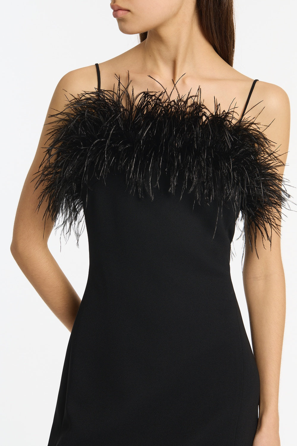 Carla Zampatti Crepe Feather Maxi Dress (Black)