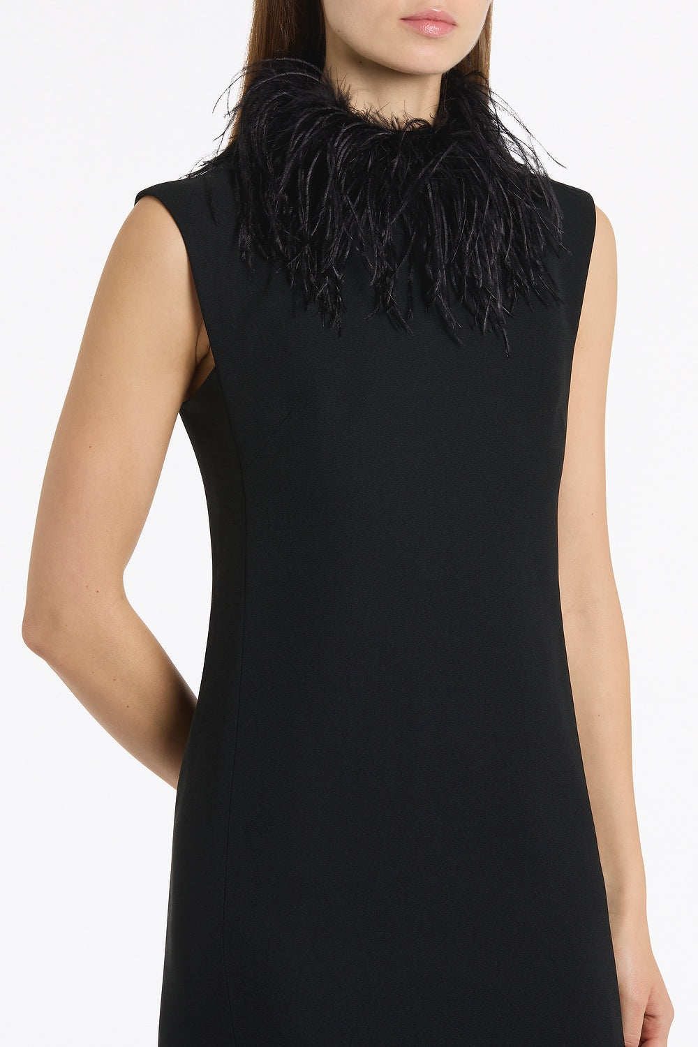 Carla Zampatti Crepe Feather Shift Dress (Black)