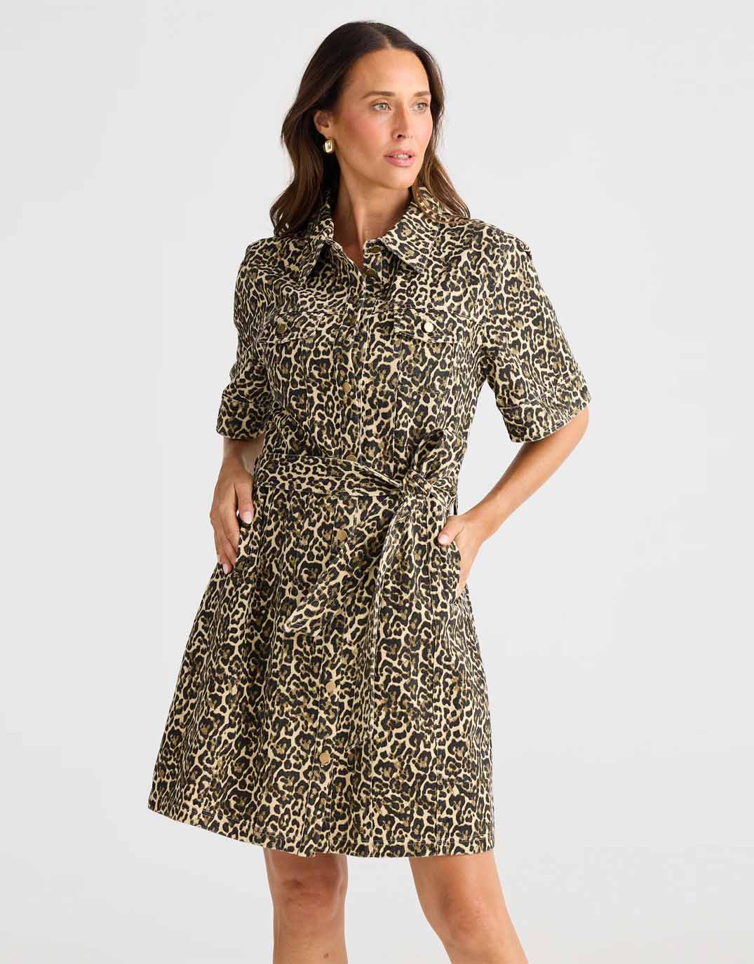 Brave + True Leroy Dress (Beige Leopard)