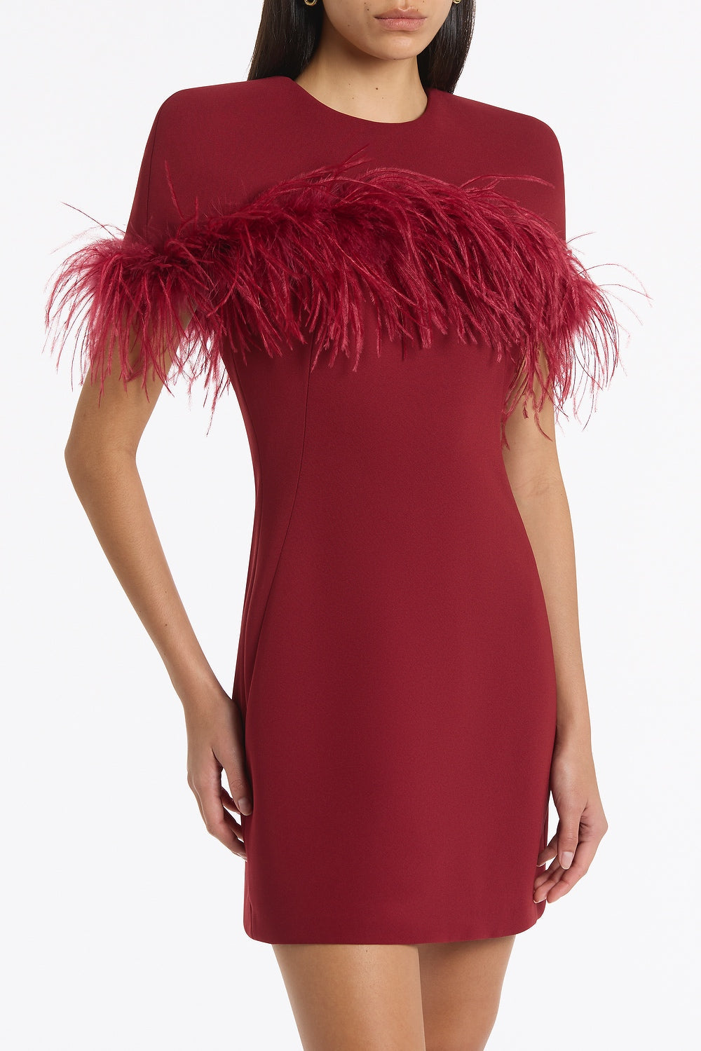 Carla Zampatti Cabernet Crepe Feather Detail Mini Cape Dress (Red)