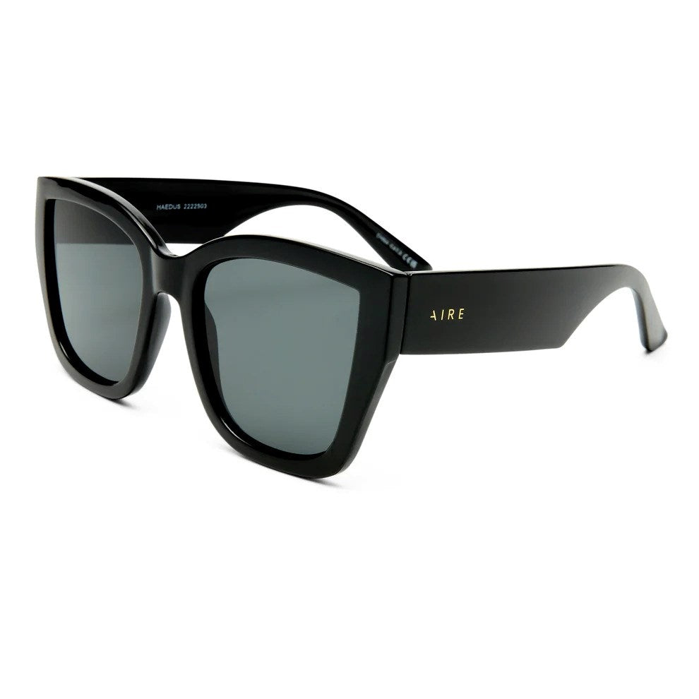 Image of Sunglasses. Product name - Haedus in Black colour by brand - Sass Clothing