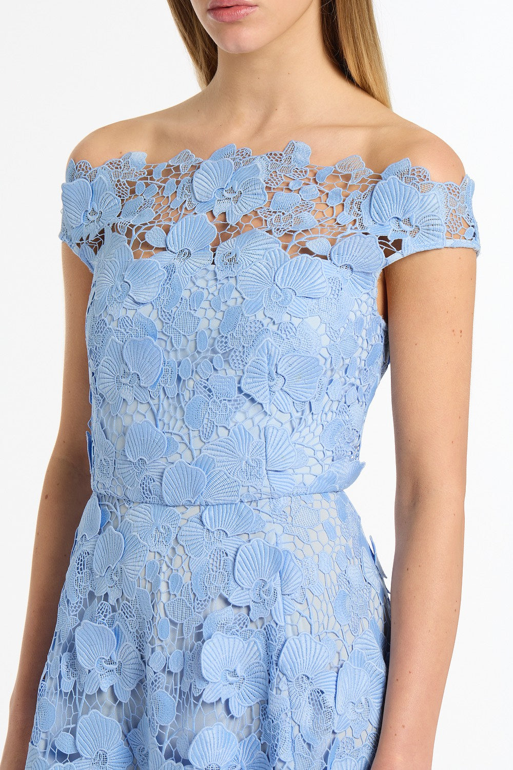 Carla Zampatti Celeste 3D Lace Off-Shoulder Gown (Blue)