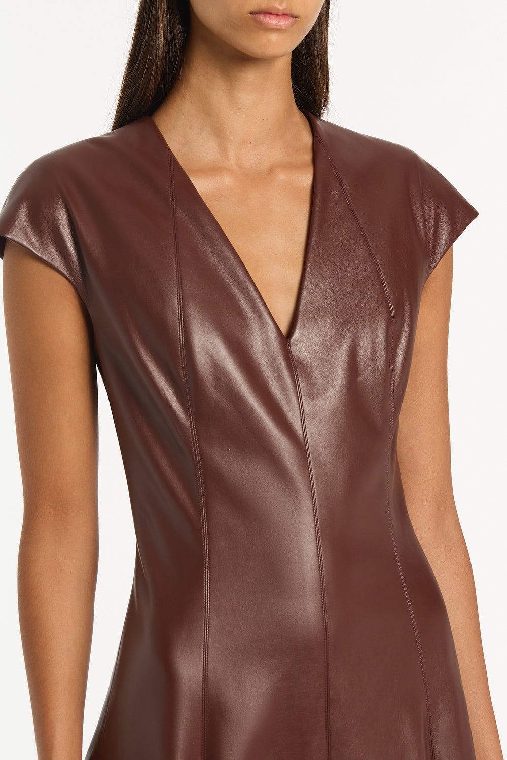 Carla Zampatti Cocoa Faux Leather Panel Dress (Brown)
