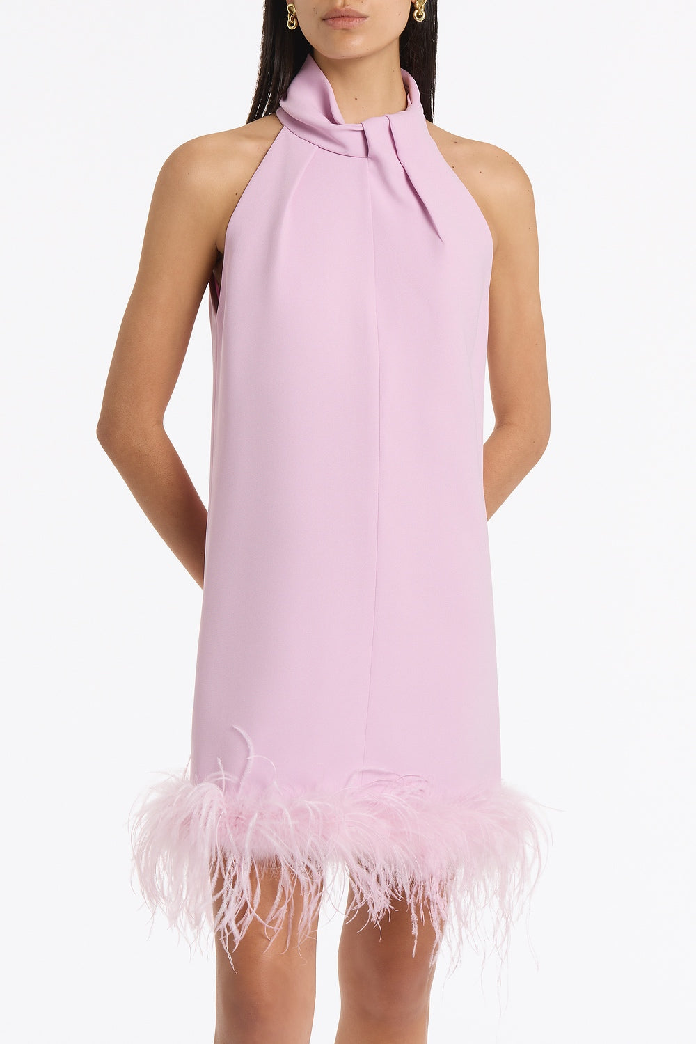 Carla Zampatti Floss Crepe Feather Mini Dress (Pink)