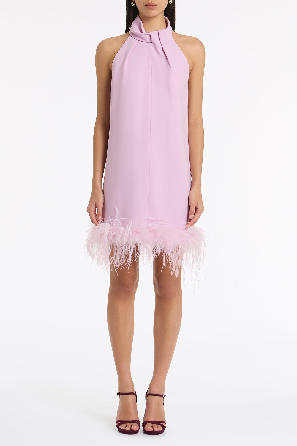 Image of Dresses. Product name - Floss Crepe Feather Mini Dress in Pink colour by brand - Carla Zampatti