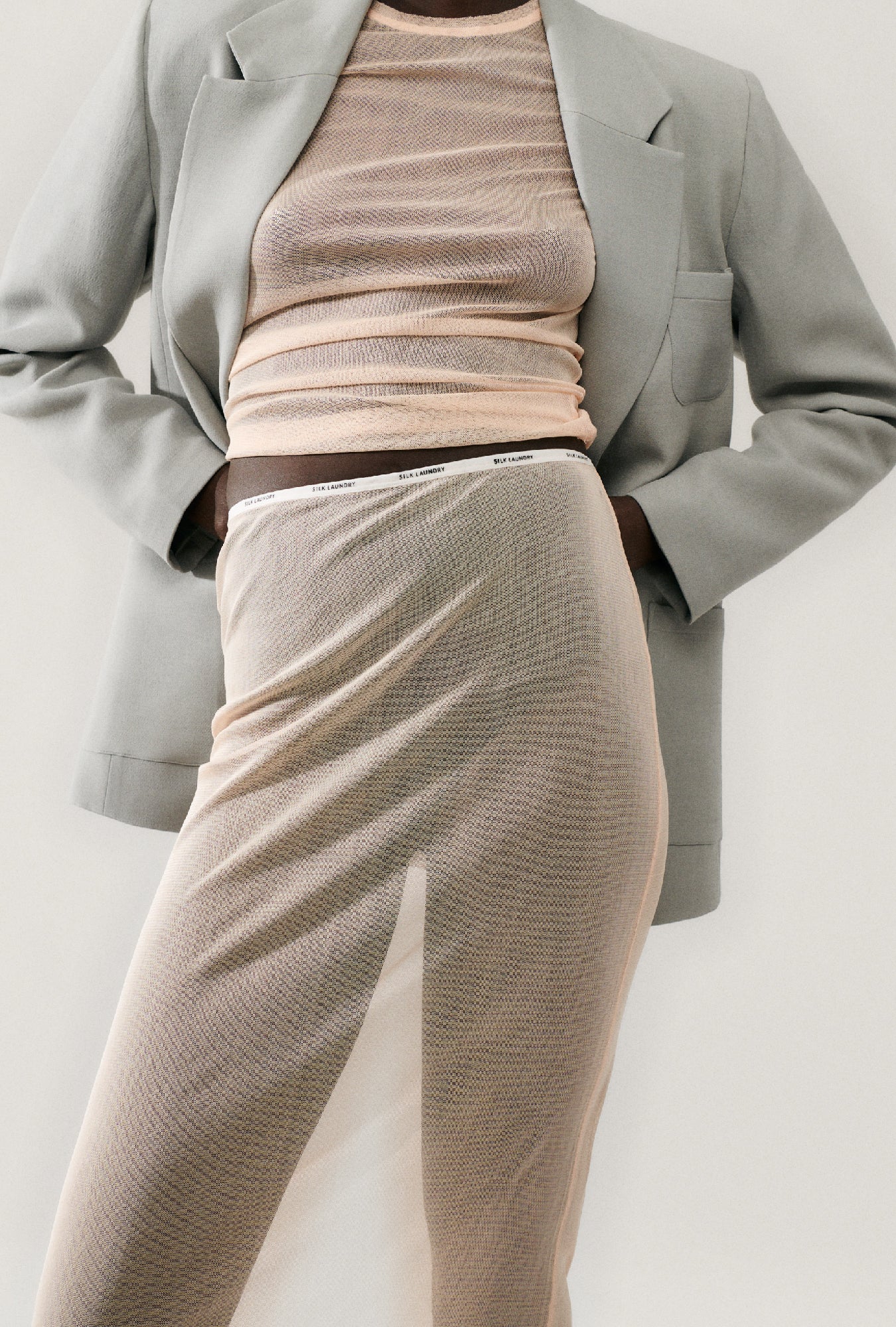 Silk Laundry Mesh Skirt (Daybreak)