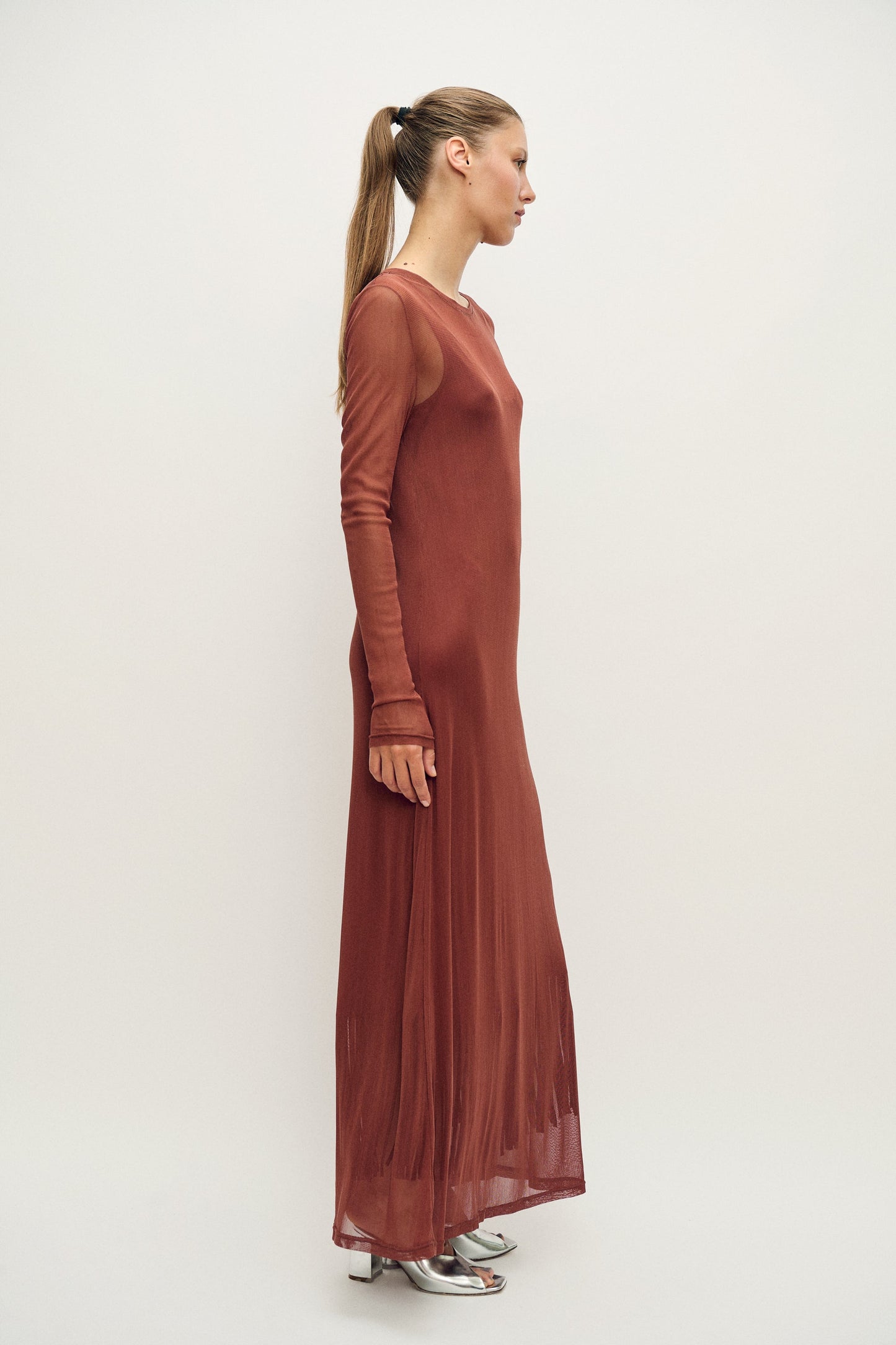 Silk Laundry Mesh Long Sleeve Dress (Canyon)