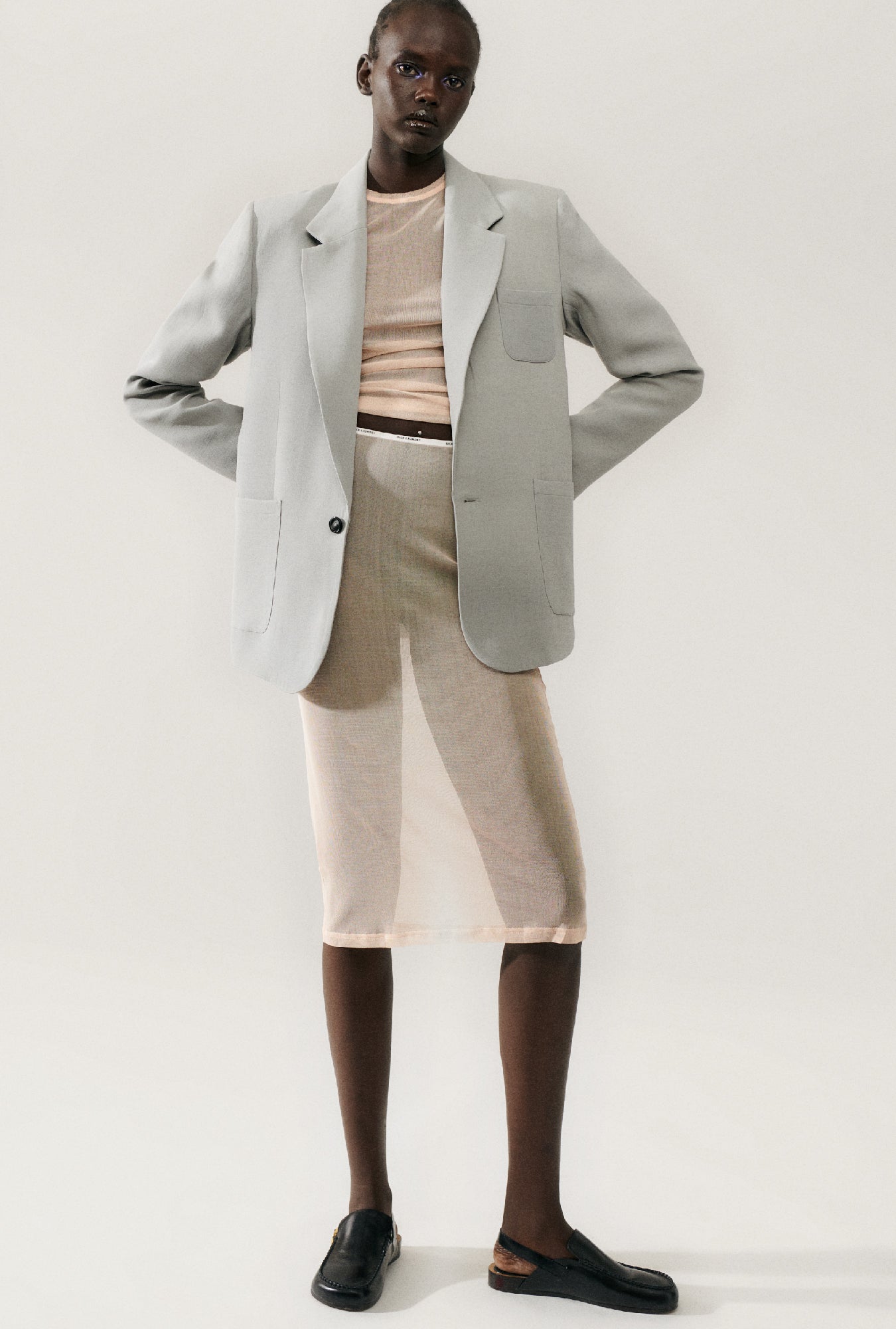 Silk Laundry Mesh Skirt (Daybreak)