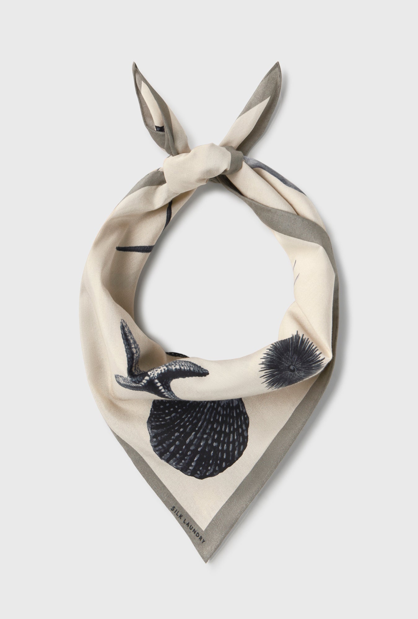 Image of Accessories. Productname: Silk Laundry COTTON SILK SCARF in Seashells colour by brand - Silk Laundry