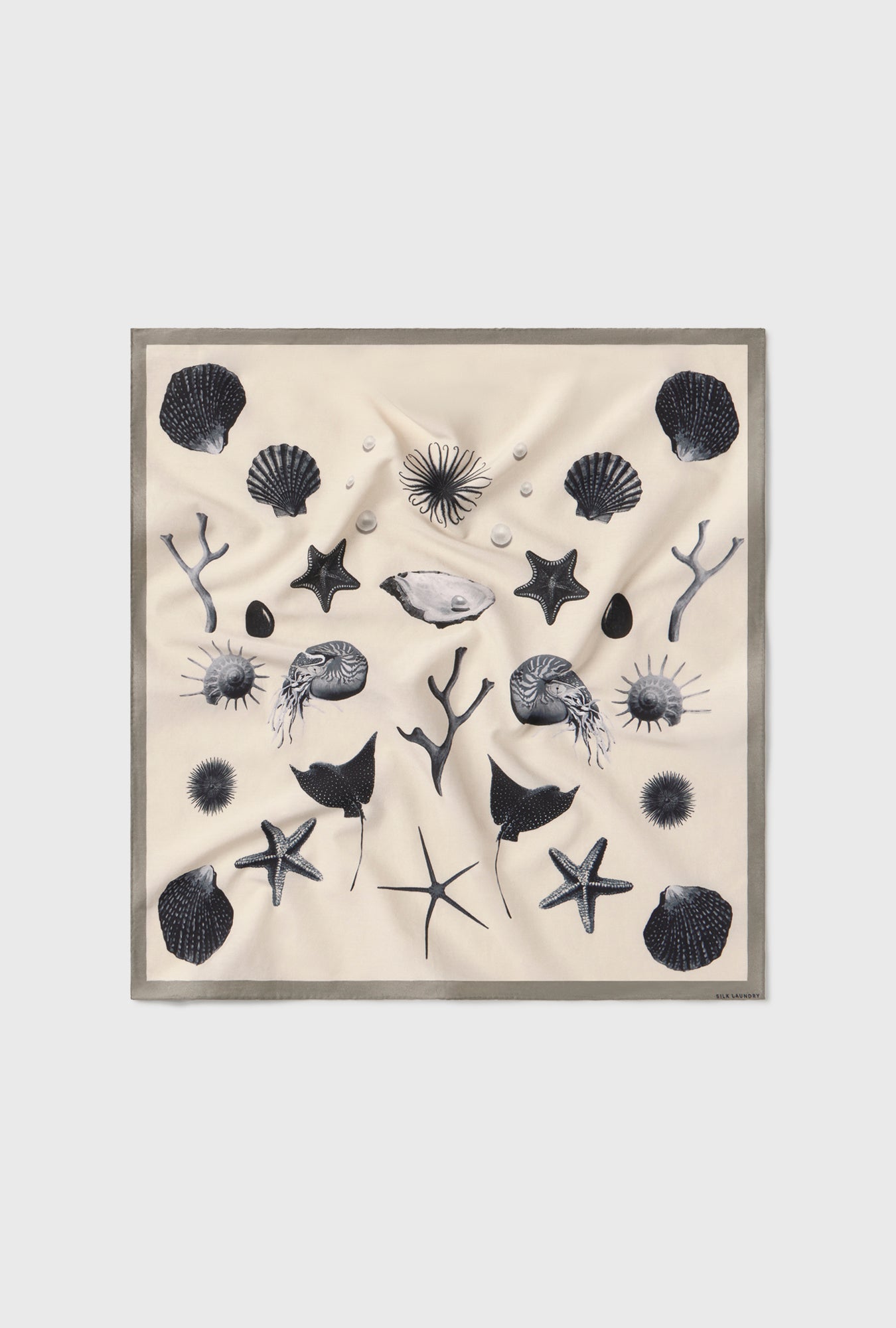 Silk Laundry COTTON SILK SCARF (Seashells)
