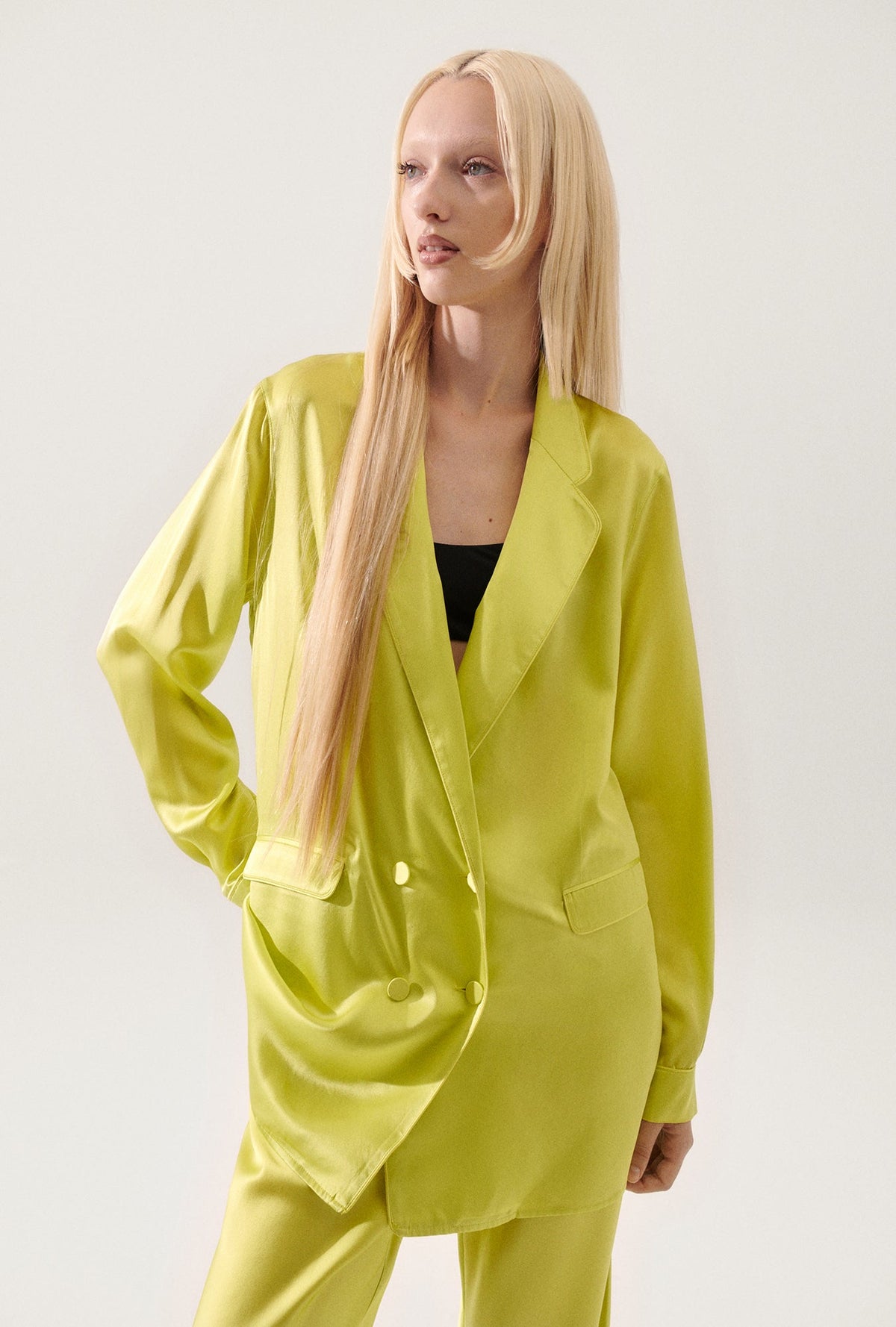 Silk Laundry Relaxed Blazer (Absinthe)