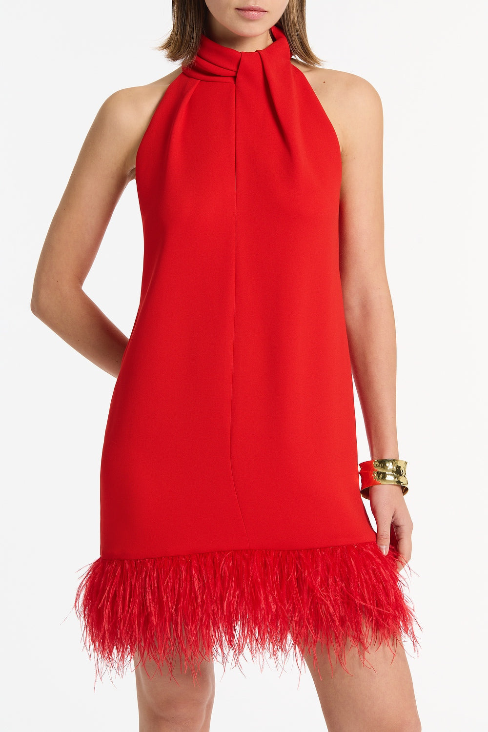 Carla Zampatti Crepe Feather Mini Dress (Red)