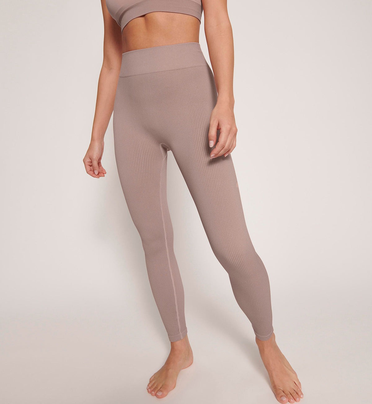 Image of Briefs. Productname: Triumph Sloggi Ever Infused Aloe Legging in Foggy Mauve colour by brand - Triumph