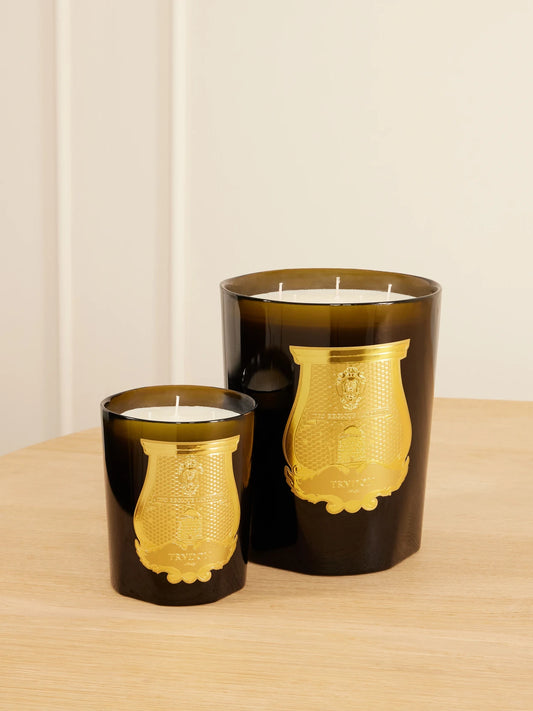Image of Perfumes & Colognes. Product name - Gabriel Scented Candle, 2.8kg in Green colour by brand - TRUDON