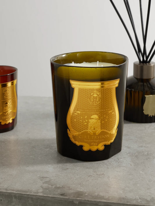 Image of Perfumes & Colognes. Product name - Ernesto Scented Candle, 800g in Green colour by brand - TRUDON